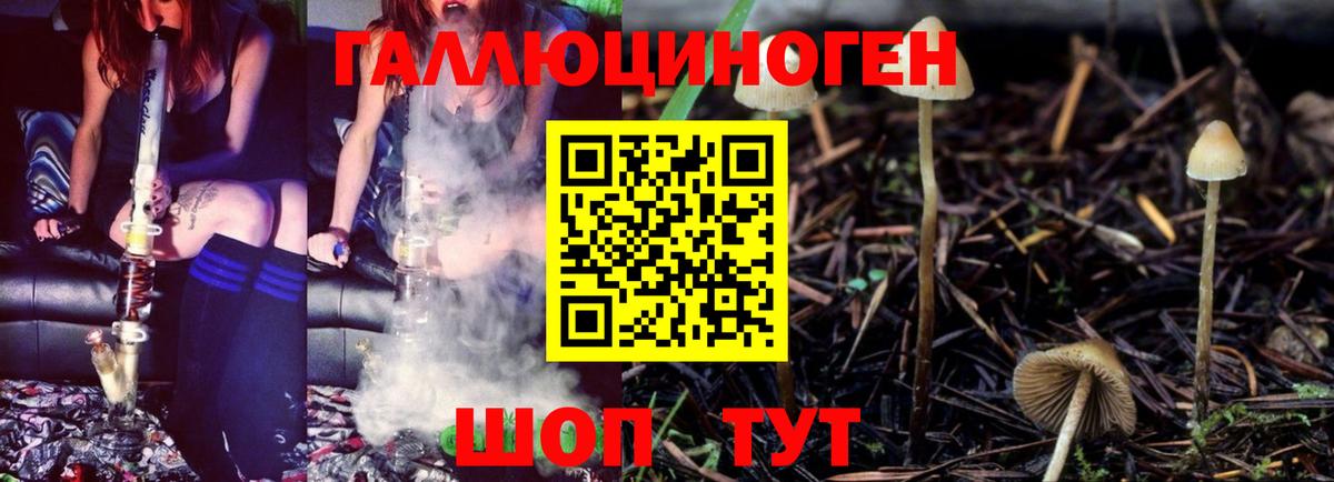 Галлюциногенные грибы Magic Shrooms Фрязино